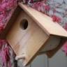 Wooden Bird House Plan